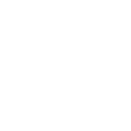 viessmann